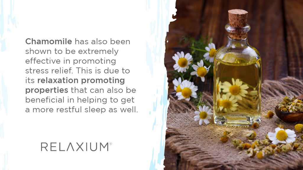 chamomile promotes stress relief